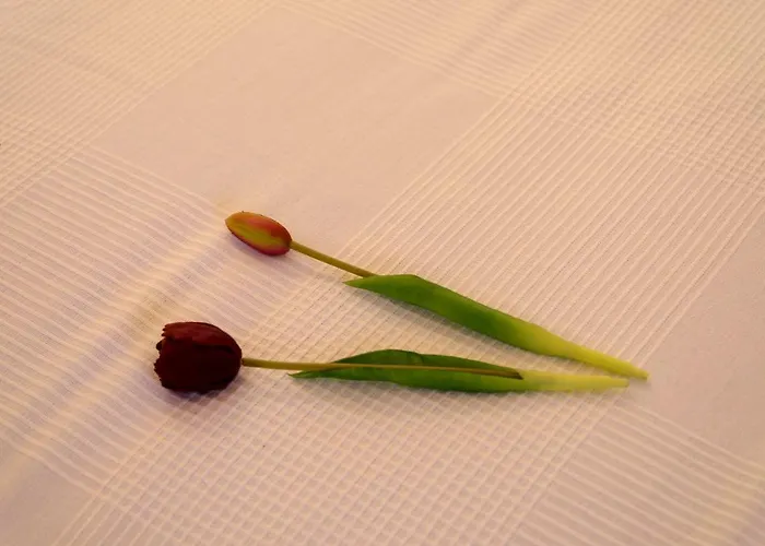 Balconcino Sugli Ulivi Отель типа 