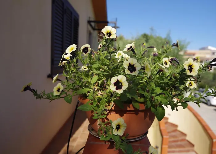 Balconcino Sugli Ulivi